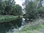 1500-104-Gebesee-Unstrutaue-Einmuendungsgebiet-der-Gera-in-die-Unstrut-Blick-nach-Suedwesten-auf-Einmuendung-der-Gera.jpg