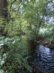 1500-11-Erfurt-Hochheim-Luisenpark-Blick-nach-Suedwesten-auf-Gera-Bergstrom-gewaesseraufwaerts.jpg