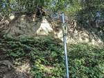 1500-13-Erfurt-Hochheim-Luisenpark-Blick-nach-Norden-auf-Naturdenkmal-Loessaufschluss-Loesswand.jpg