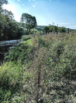 1500-22-Erfurt-Hochheim-Krautland-Geraaue-zwischen-Gera-Muehlgraben-Blick-nach-Sueden-auf-Gera-flussaufwaerts.jpg