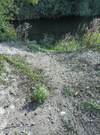 1500-25-Erfurt-Hochheim-Krautland-Geraaue-zwischen-Gera-Muehlgraben-Blick-nach-Suedosten-auf-Gera-flussaufwaerts.jpg