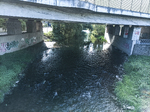 1500-28-Erfurt-Hochheim-Bruecke-Motzstrasse-Blick-nach-Suedosten-auf-Gera-flussaufwaerts.jpg