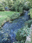 1500-35-Erfurt-Strasse-des-Friedens-Blick-nach-Nordosten-auf-Gera-flussabwaerts-in-Richtung-Dammweg.jpg