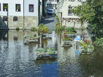 1500-43-Erfurt-Altstadt-Bruecke-Schloesserstrasse-Blick-nach-Nordwesten-auf-Gera-flussabwaerts-in-Richtung-Rathausgasse.jpg