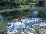 1500-58-Erfurt-Moskauer-Platz-Einmuendung-Brauchwasser-in-Gera-Blick-nach-Suedosten-auf-Gera-flussaufwaerts-in-Richtung-Bruecke-Strasse-der-Nationen.jpg