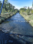 1500-63-Erfurt-Gispersleben-Neue-Fussgaengerbruecke-Blick-nach-Nordwesten-auf-Gera-flussabwaerts-Kilianipark.jpg