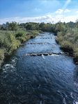 1500-64-Erfurt-Gispersleben-Neue-Fussgaengerbruecke-Blick-nach-Suedosten-auf-Gera-flussaufwaerts.jpg