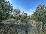 1500-66-Erfurt-Gispersleben-Gisbodusstrasse-Blick-nach-Suedwesten-auf-Streuobstwiese-suedlich-BAB-71.jpg