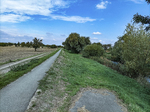 1500-75-Walschleben-Gera-Radweg-Blick-nach-Norden-auf-Deich-Geraaue-Gera-flussabwaerts.jpg