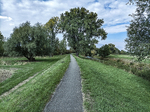 1500-76-Walschleben-Gera-Radweg-Blick-nach-Norden-auf-Aue-Mahlgera-Deich-Geraaue-Gera-flussabwaerts.jpg
