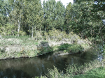 1500-86-Gebesee-Geraaue-Hoehe-Trafohaus-Blick-nach-Suedosten-auf-Gera-flussaufwaerts.jpg
