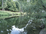 1500-101-Gebesee-Unstrutaue-Einmuendungsgebiet-der-Gera-in-die-Unstrut-Blick-nach-Suedwesten-auf-Einmuendung-der-Gera.jpg