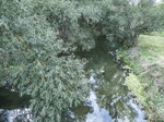 1500-96-Gebesee-Bruecke-L-2165-Blick-nach-Nordwesten-auf-Unstrut-flussaufwaerts.jpg