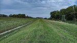 1500-97-Gebesee-Unstrutaue-Einmuendungsgebiet-der-Gera-in-die-Unstrut-Blick-nach-Nordosten-auf-Deich.jpg