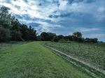 1500-98-Gebesee-Unstrutaue-Einmuendungsgebiet-der-Gera-in-die-Unstrut-Blick-nach-Westen-auf-Deich-in-Richtung-L-2165.jpg